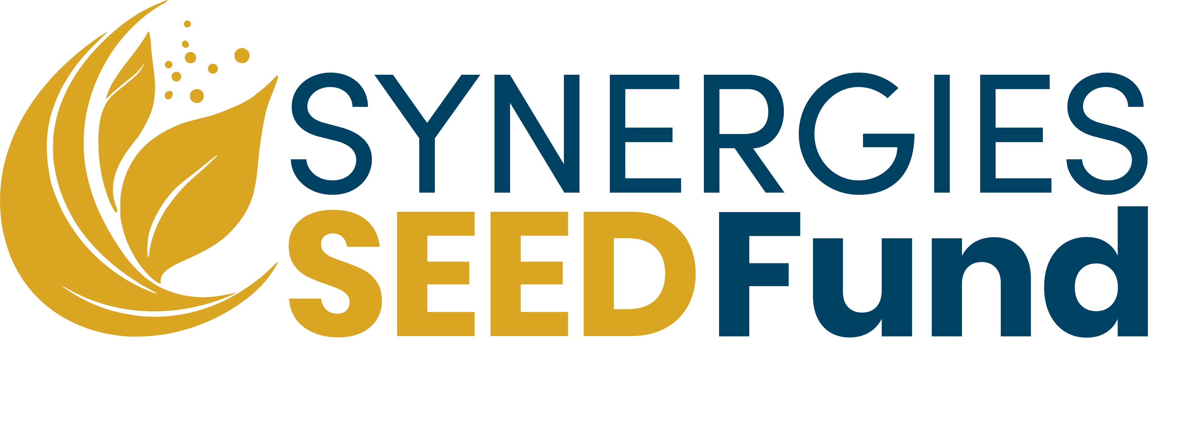 Main Logo