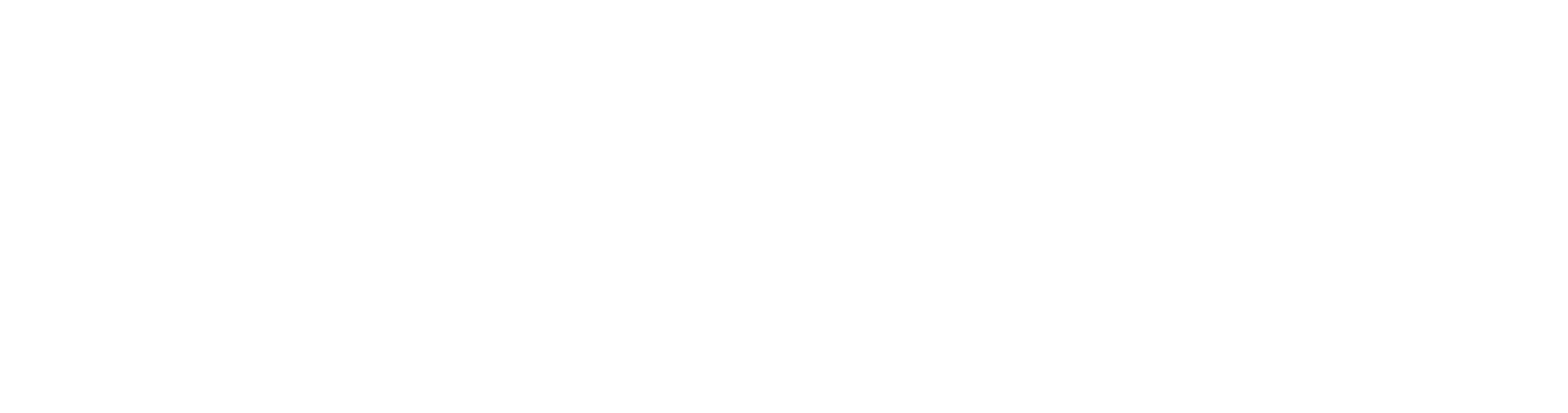 Main Logo